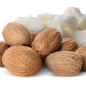 Producteur fournisseur Beurre de karité africain