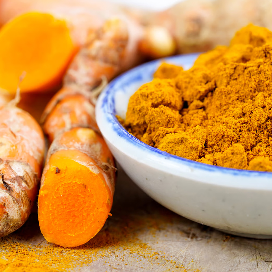 Producteur fournisseur Curcuma africain