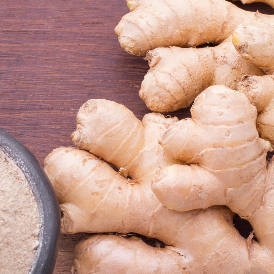 Producteur fournisseur Gingembre séché et poudre africain