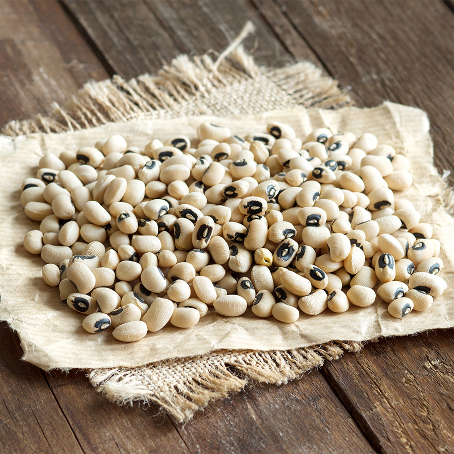 Producteur fournisseur Graines de cornille (Niébé)