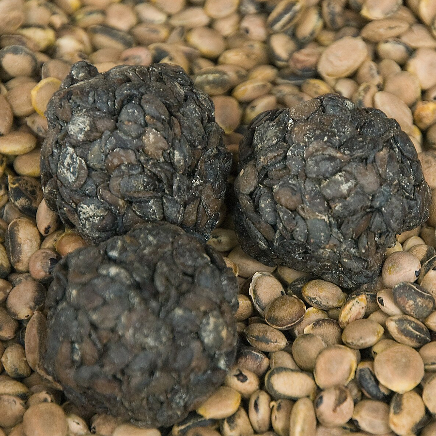 Soumbala Producteur fournisseur