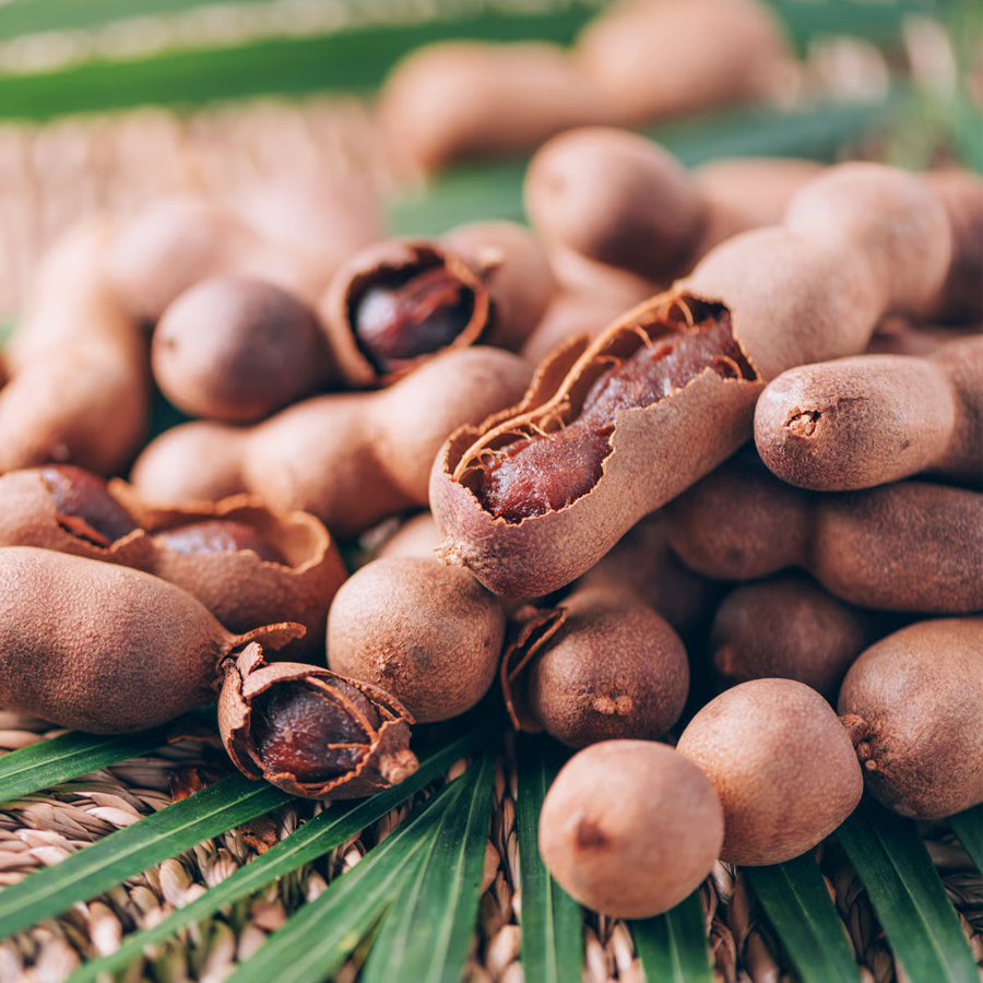 Tamarin Producteur fournisseur