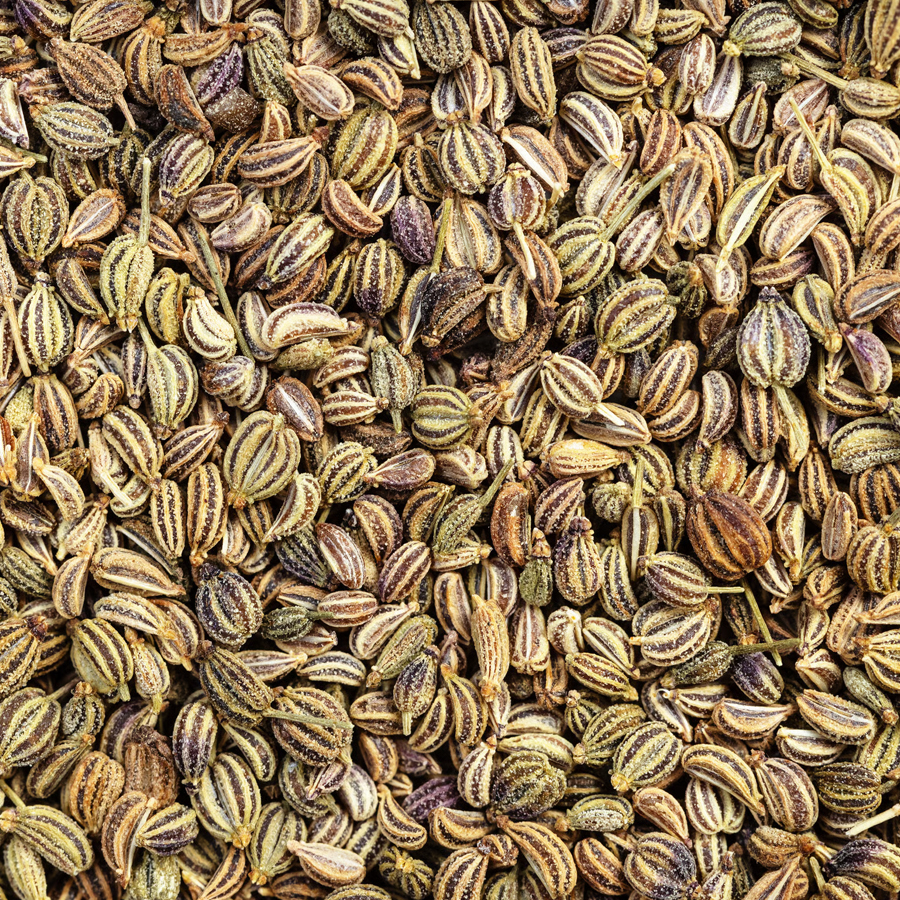 Semi di sedano indiani