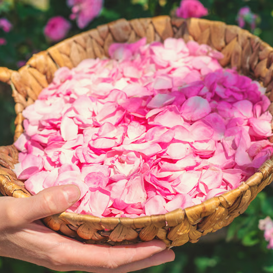 Petali di rosa indiani