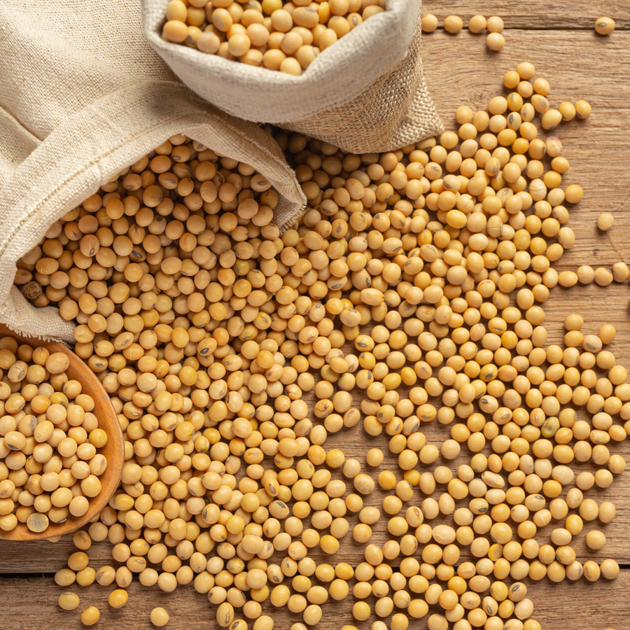 Indian Soybean