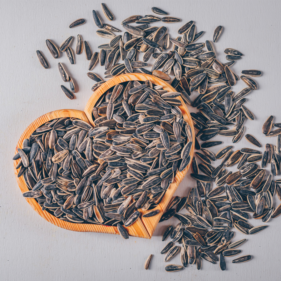 Indian Sunflower Seeds